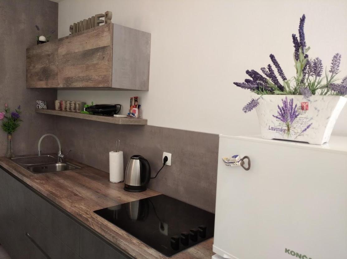 Dandy Apartment Повляна Екстериор снимка